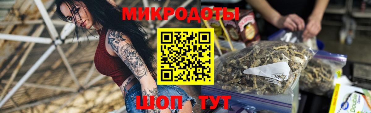 Галлюциногенные грибы Psilocybine cubensis Янаул
