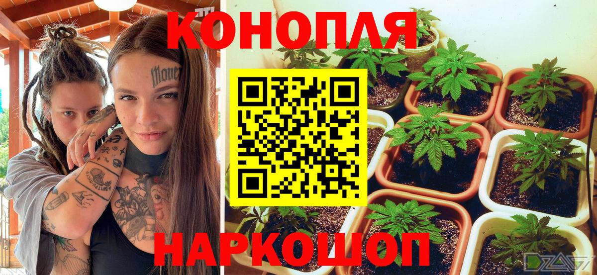 Канабис MAZAR  Каннабис MAZAR  Янаул  Шишки марихуана гибрид  Вход с VPN  МАРИХУАНА Amnesia 